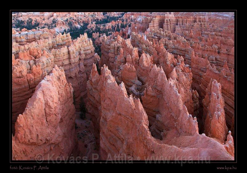 Bryce Canyon 37.jpg